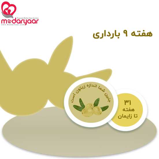 هفته نهم بارداری