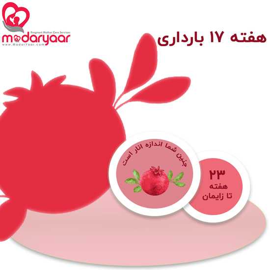 هفته هفدهم بارداری