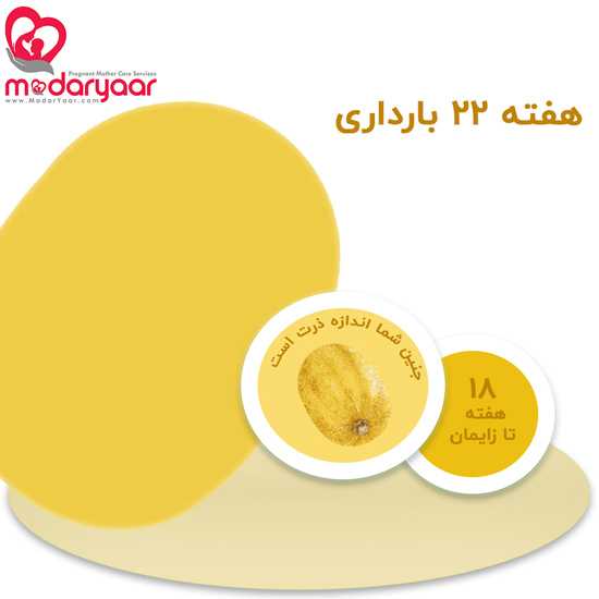 هفته بیست و دوم بارداری