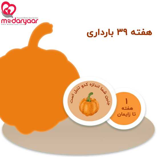 هفته سی و نهم بارداری