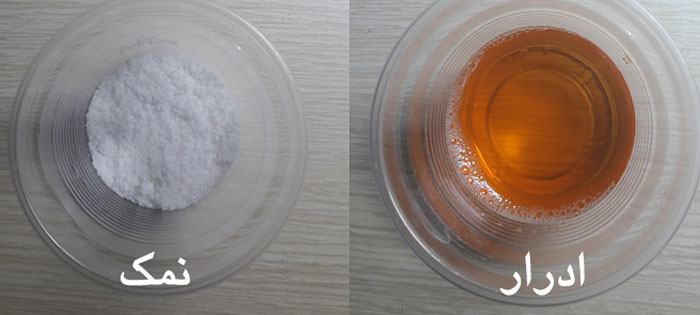 تست بارداری