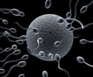 راه های تقویت بارداری