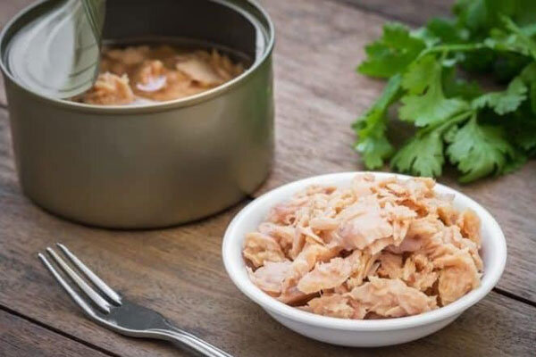 آهن در بارداری