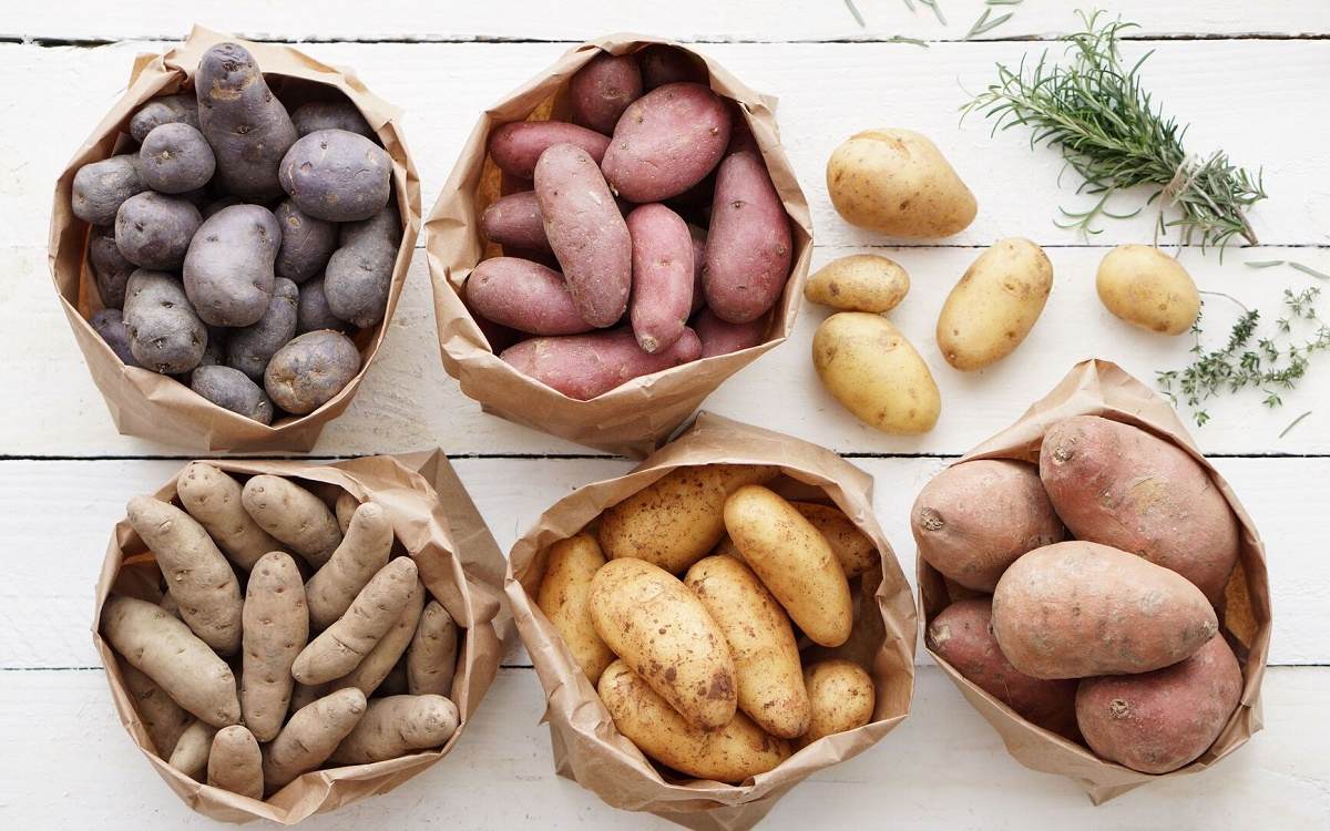 آهن در بارداری