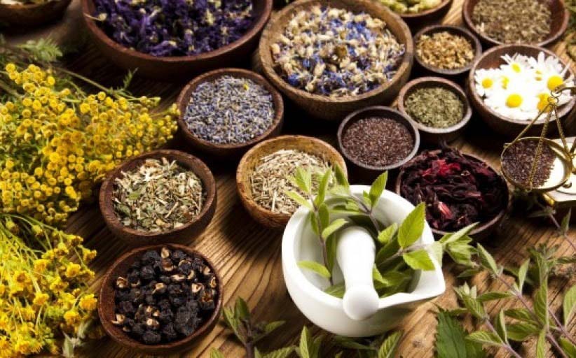 گیاه درمانی براس زایمان طبیعی بدون درد