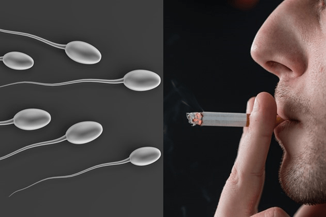 سیگار و سلامت اسپرم مردان