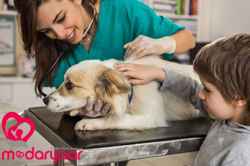 اثرات داشتن حیوان خانگی روی کودک